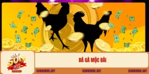 Đá Gà Mộc Bài